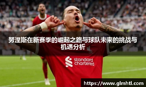 努涅斯在新赛季的崛起之路与球队未来的挑战与机遇分析